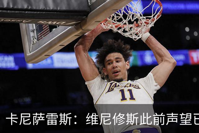 卡尼萨雷斯：维尼修斯此前声望已逐渐透支，他必须重拾昔日荣光