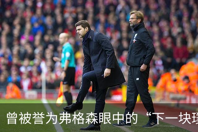 曾被誉为弗格森眼中的“下一块璞玉”，我却成了曼联水货——但我无怨无悔