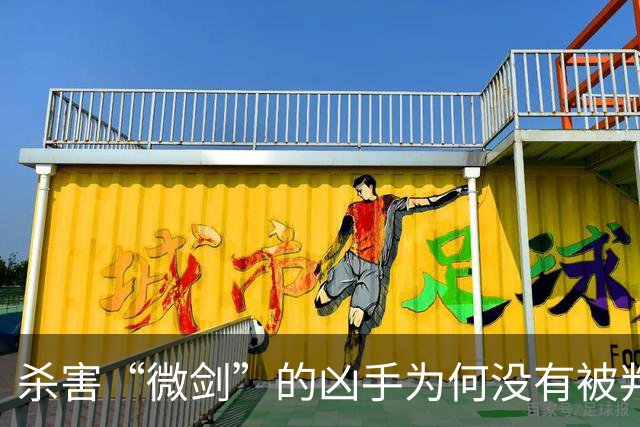 杀害“微剑”的凶手为何没有被判处死刑立即执行？！