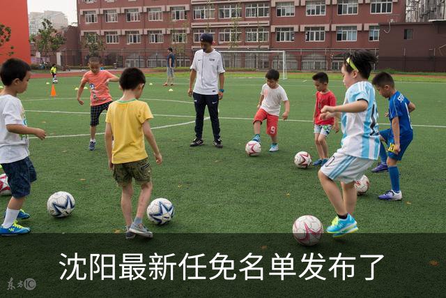 沈阳最新任免名单发布了
