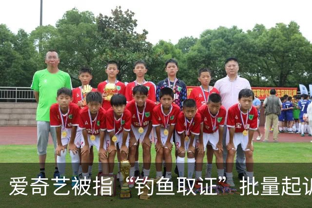 爱奇艺被指“钓鱼取证”批量起诉小企业