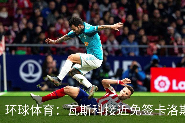 环球体育：瓦斯科接近免签卡洛斯-维尼修斯
