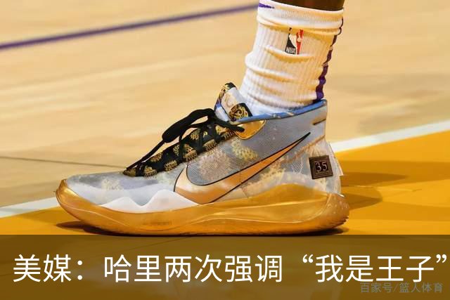 美媒：哈里两次强调“我是王子”，而威廉王子则称“直呼其名即可”