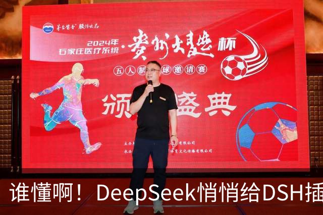 谁懂啊！DeepSeek悄悄给DSH插件开发者发钱了