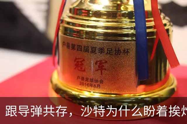 跟导弹共存，沙特为什么盼着挨炸？