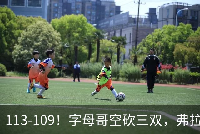 113-109！字母哥空砍三双，弗拉格29分11助，独行侠送热火4连败