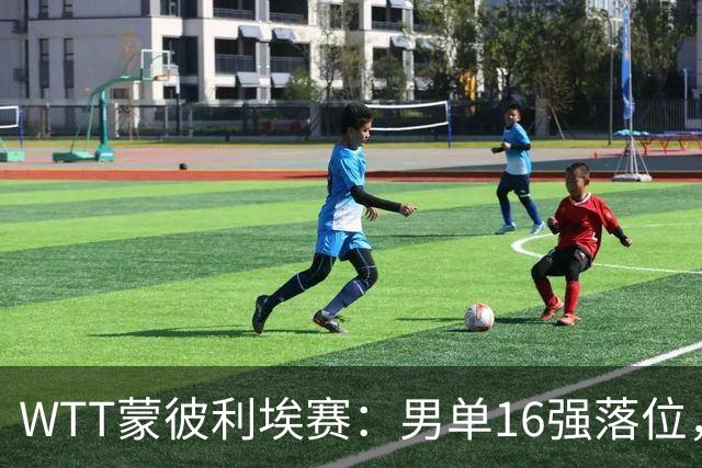 WTT蒙彼利埃赛：男单16强落位，国乒两大劲敌惨遭一轮游